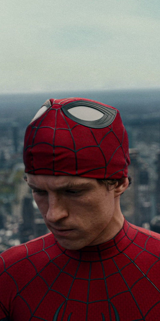 Spiderman (LED Frame)